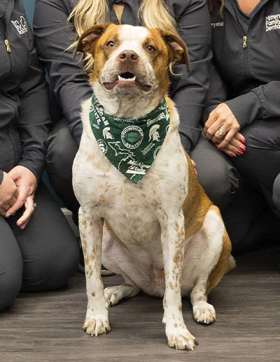 Arlo, Mitten Family Dental's mascot
